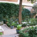 Tomar algo en las terrazas de los Museos