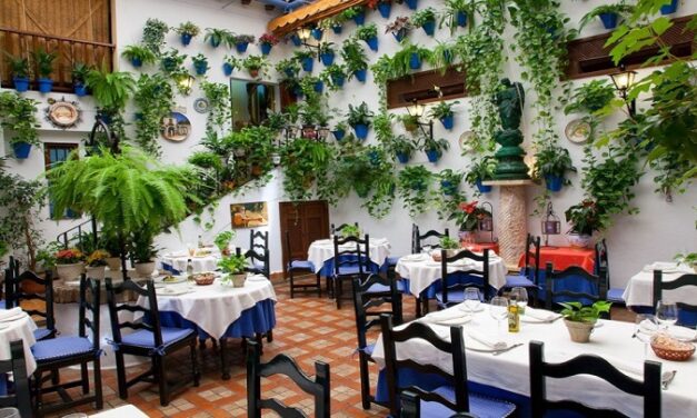 Descubrimientos restaurantes enero 2020