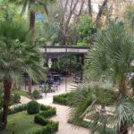 Mis terrazas favoritas en patios y jardines