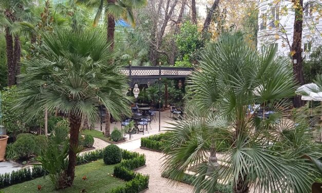Mis terrazas favoritas en patios y jardines