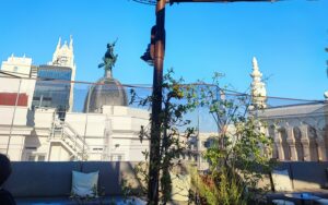 Restaurante-le-tabernier-terraza-te-veo-en-madrid-scaled.jpg