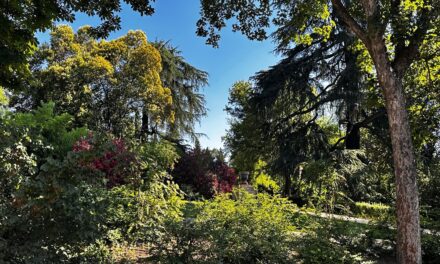 Quinta de la Fuente del Berro, un oasis en medio de Madrid